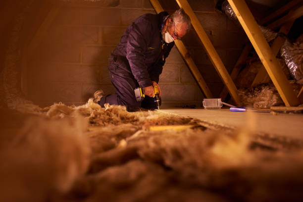 Best Spray Foam Insulation  in Sea Breeze, NC